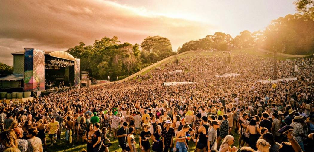 splendour in the grass